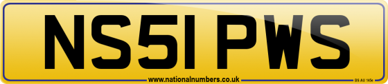 NS51 PWS