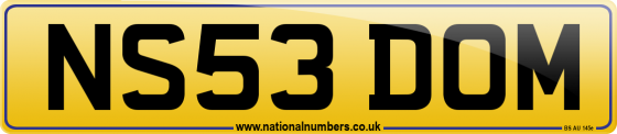 NS53 DOM