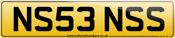NS53 NSS