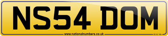 NS54 DOM