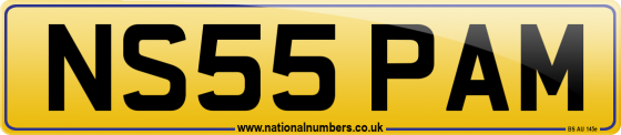 NS55 PAM