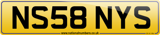 NS58 NYS