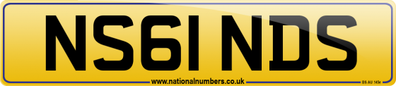 NS61 NDS