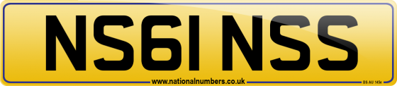 NS61 NSS