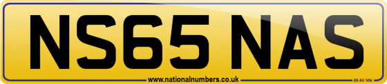 NS65 NAS