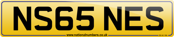NS65 NES