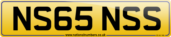 NS65 NSS