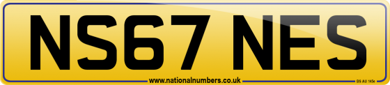 NS67 NES