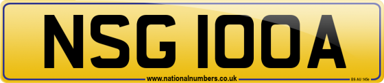 NSG 100A