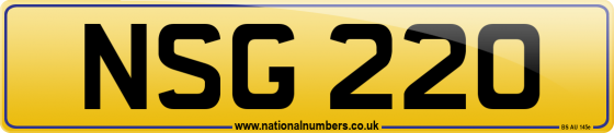 NSG 220