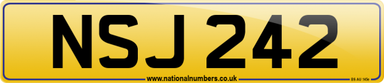 NSJ 242