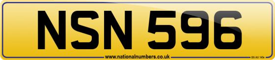 NSN 596
