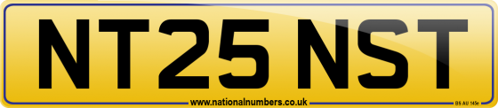 NT25 NST