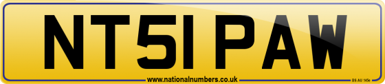 NT51 PAW