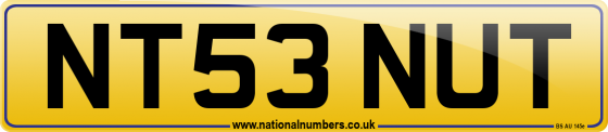 NT53 NUT