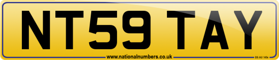 NT59 TAY