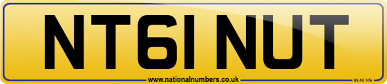 NT61 NUT