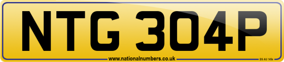 NTG 304P