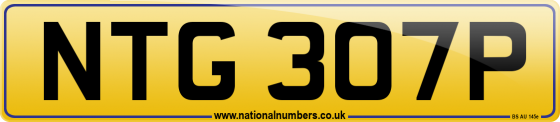 NTG 307P