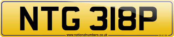 NTG 318P