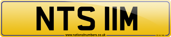NTS 11M