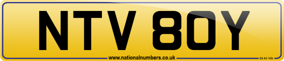 NTV 80Y