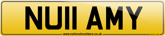 NU11 AMY