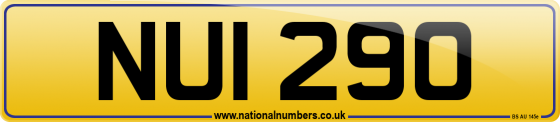 NUI 290