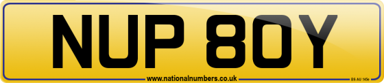 NUP 80Y
