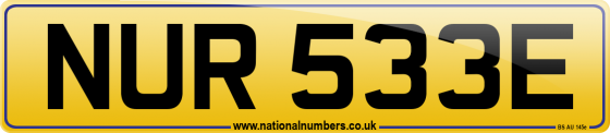 NUR 533E