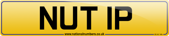 NUT 1P