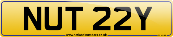 NUT 22Y