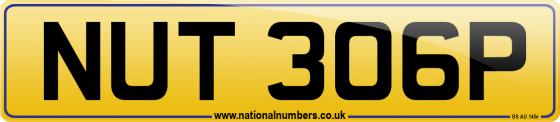 NUT 306P