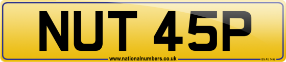 NUT 45P