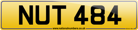 NUT 484