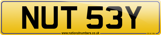 NUT 53Y