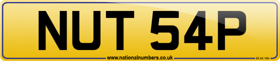 NUT 54P