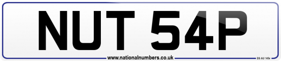 NUT 54P
