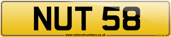NUT 58