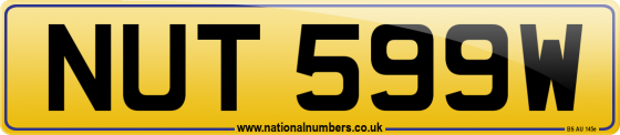 NUT 599W