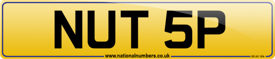 NUT 5P