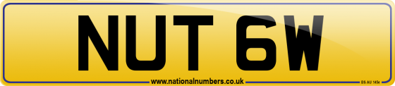 NUT 6W