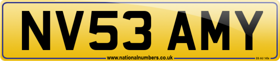 NV53 AMY