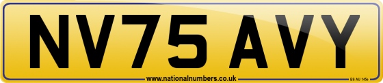 NV75 AVY