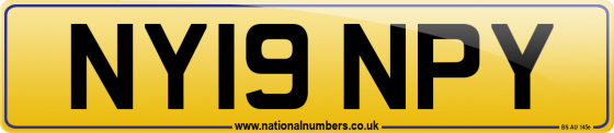 NY19 NPY