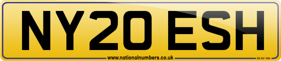 NY20 ESH