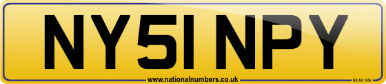 NY51 NPY