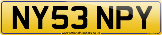 NY53 NPY