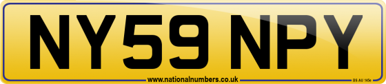 NY59 NPY