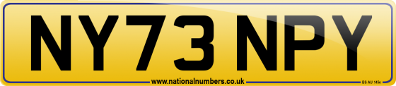 NY73 NPY